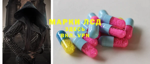 ПСИЛОЦИБИНОВЫЕ ГРИБЫ Баксан